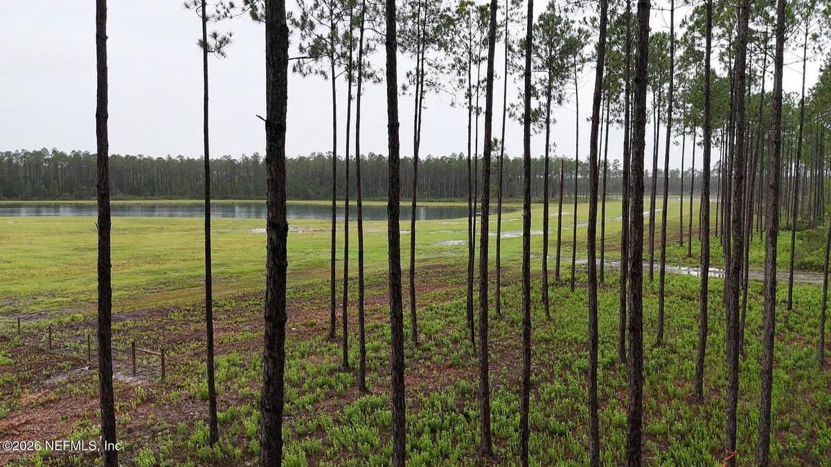 0 US HIGHWAY 301, Bryceville, FL 32209 2