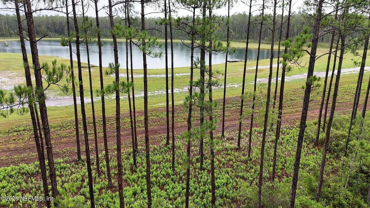 0 US HIGHWAY 301, Bryceville, FL 32209 3