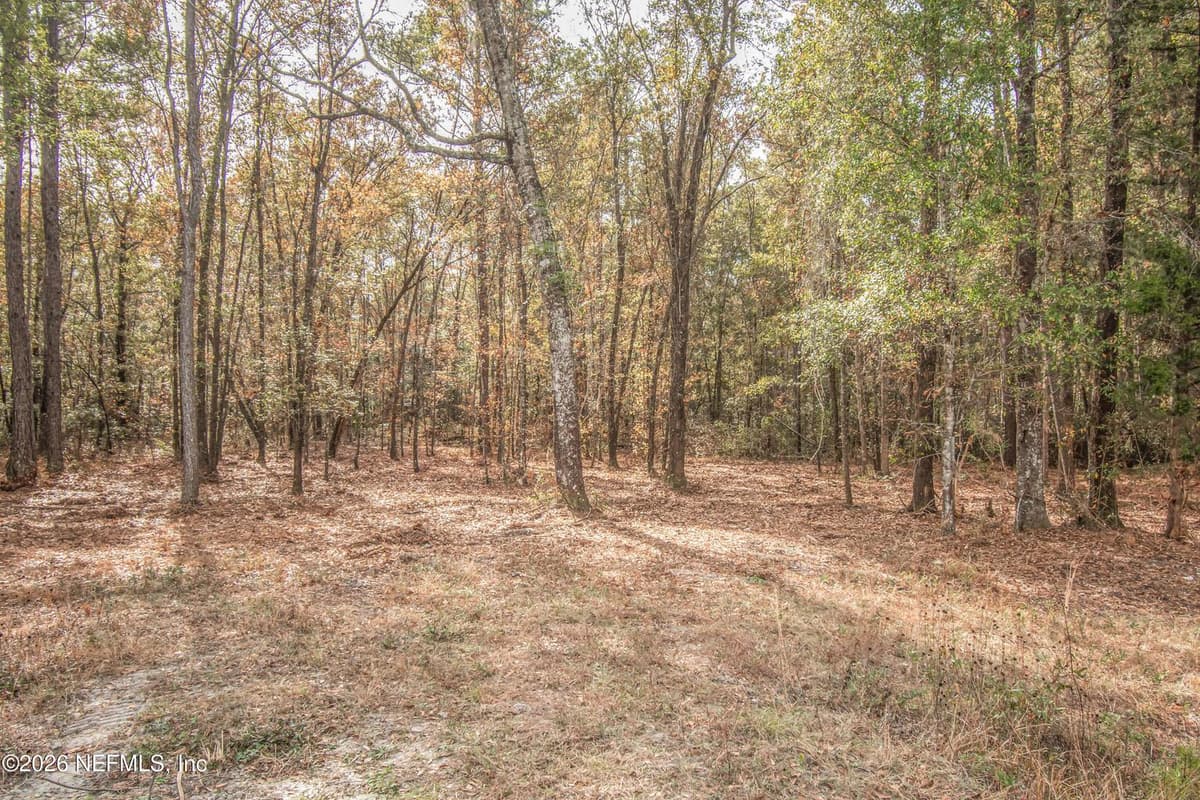 13890 COUNTY ROAD 124, Sanderson, FL 32087 2