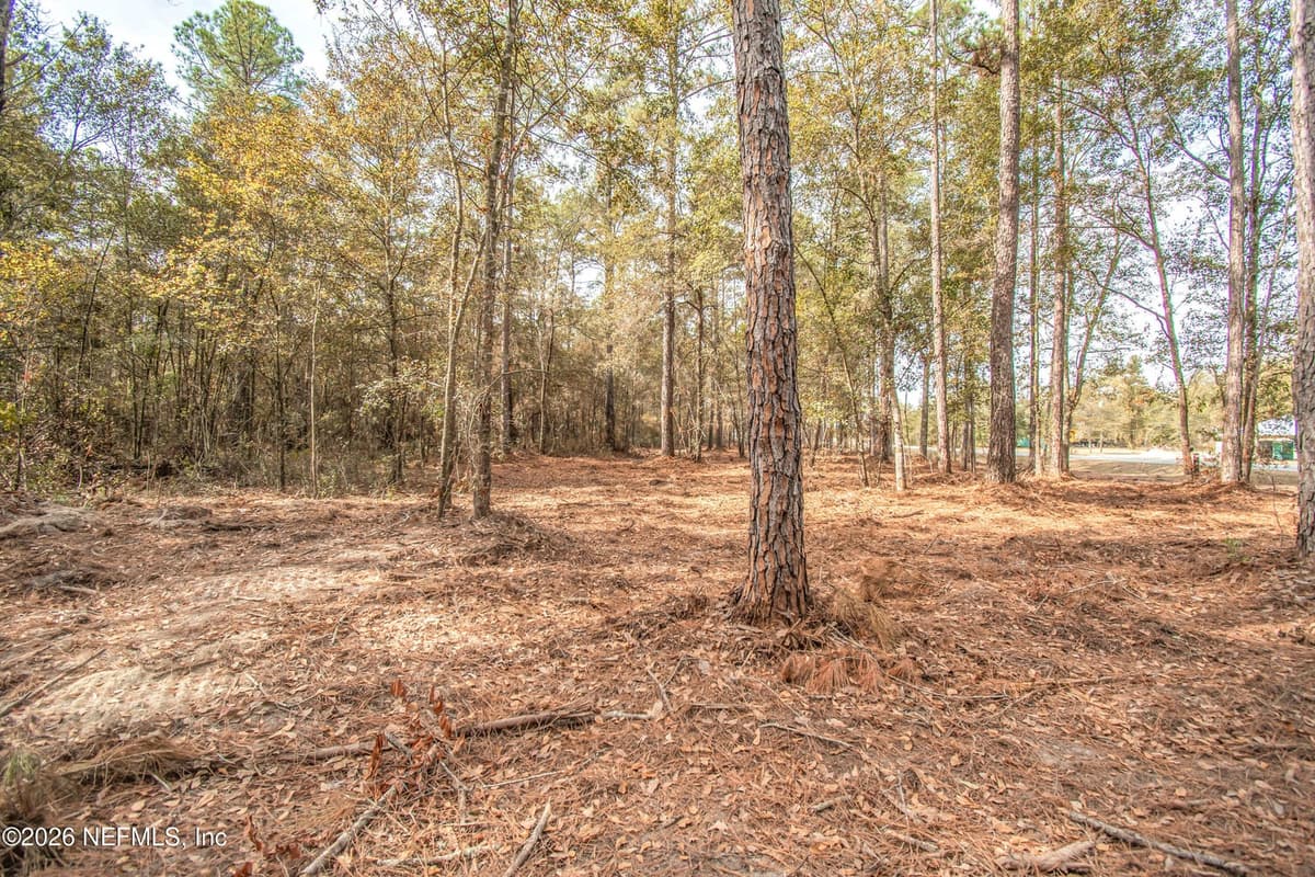 13890 COUNTY ROAD 124, Sanderson, FL 32087 3
