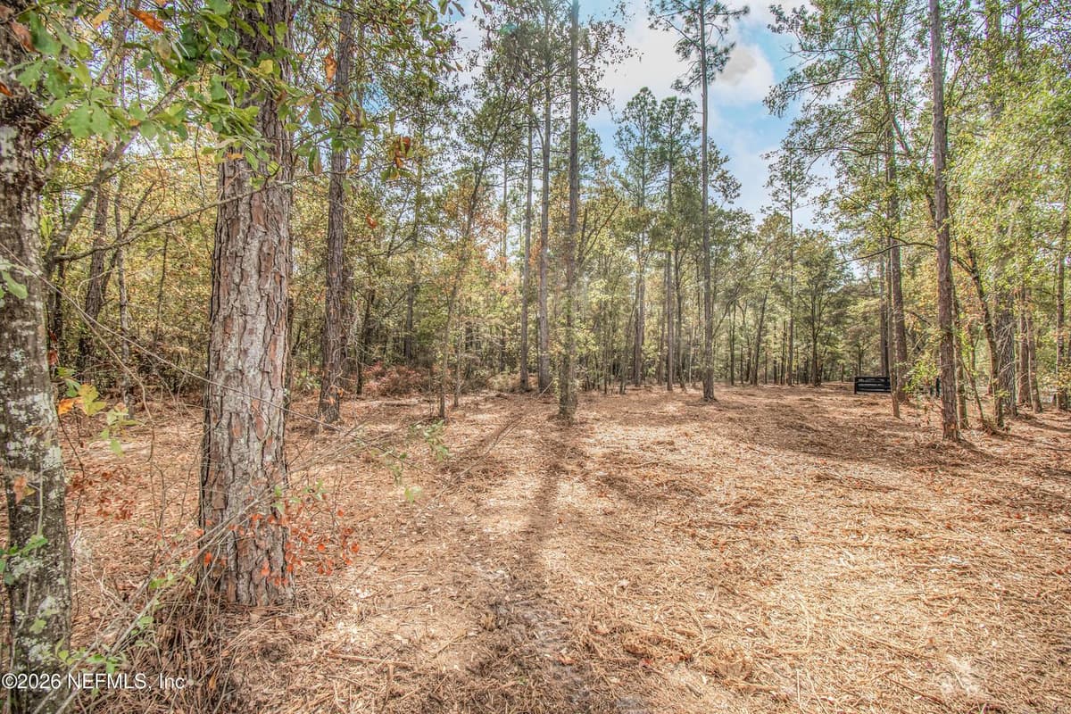 14374 C R 124, Sanderson, FL 32087 3