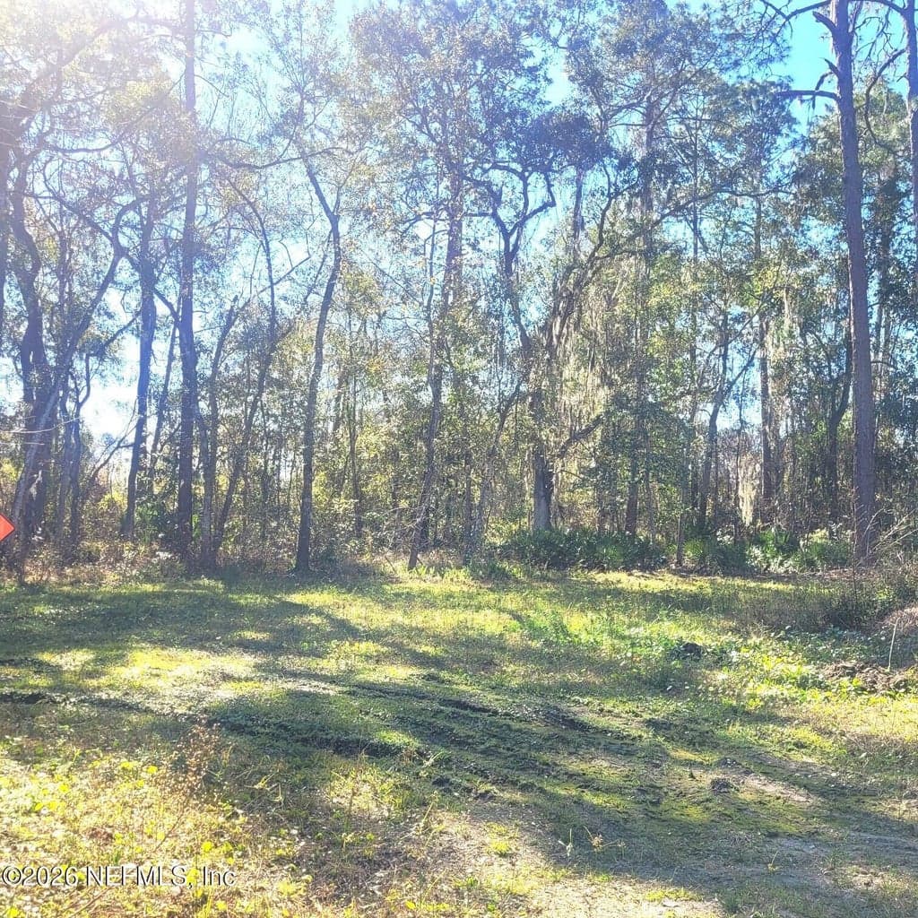000 MOSS Drive, St. Augustine, FL 32092 3