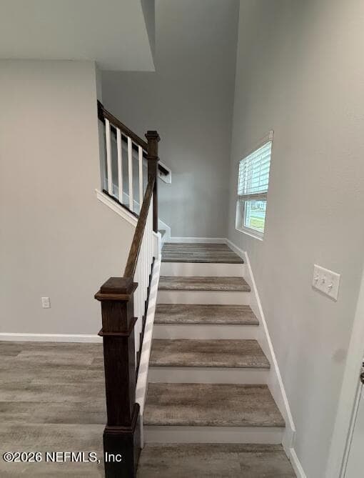 1266 JEWELSTONE Lane, Jacksonville, FL 32221 2