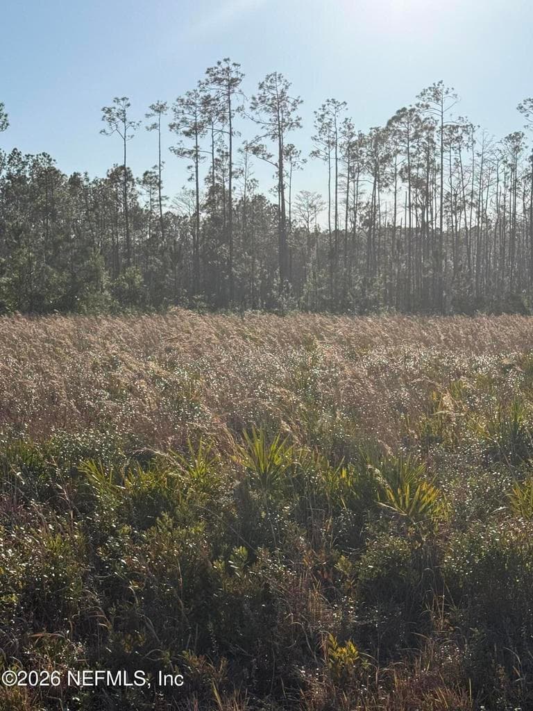 0 CONNER NELSON Road, Hilliard, FL 32046 2