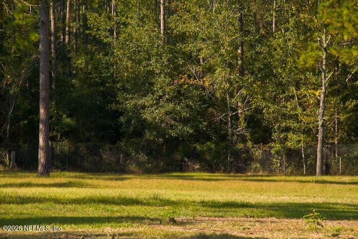 3760 OLD JENNINGS Road, Middleburg, FL 32068 2