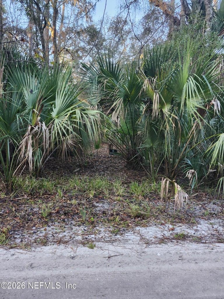 00 DRAYTON ISLAND, Crescent City, FL 32112 2