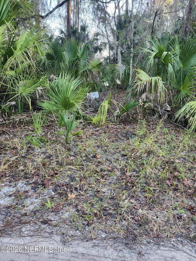 00 DRAYTON ISLAND, Crescent City, FL 32112 3