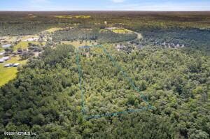 14014 DUNROVEN Drive, Bryceville, FL 32009 2