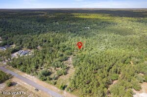 14014 DUNROVEN Drive, Bryceville, FL 32009 3
