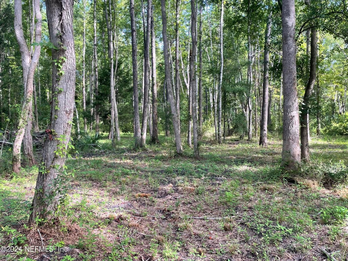 0 SUNRISE FARMS Road, Middleburg, FL 32068 2