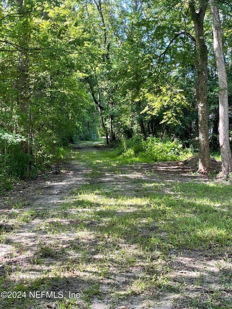 0 SUNRISE FARMS Road, Middleburg, FL 32068 3