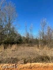 5123 Elmore Road, Graceville, FL 32446 3