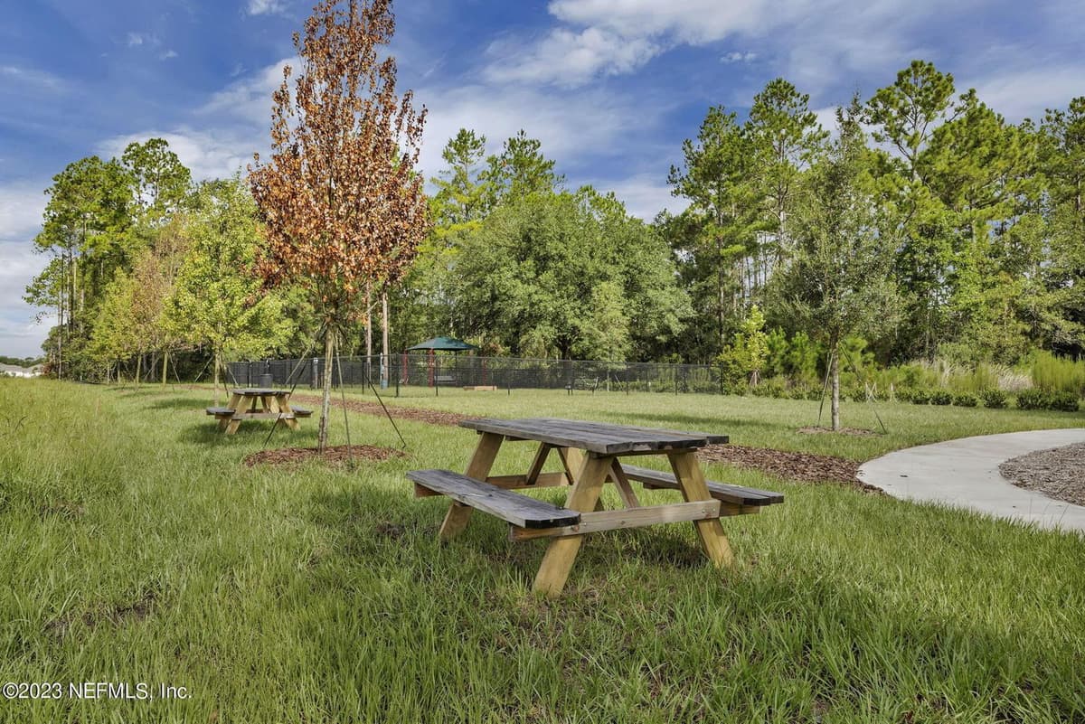 1009 ROOSTER HOLLOW Way, Middleburg, FL 32068 3