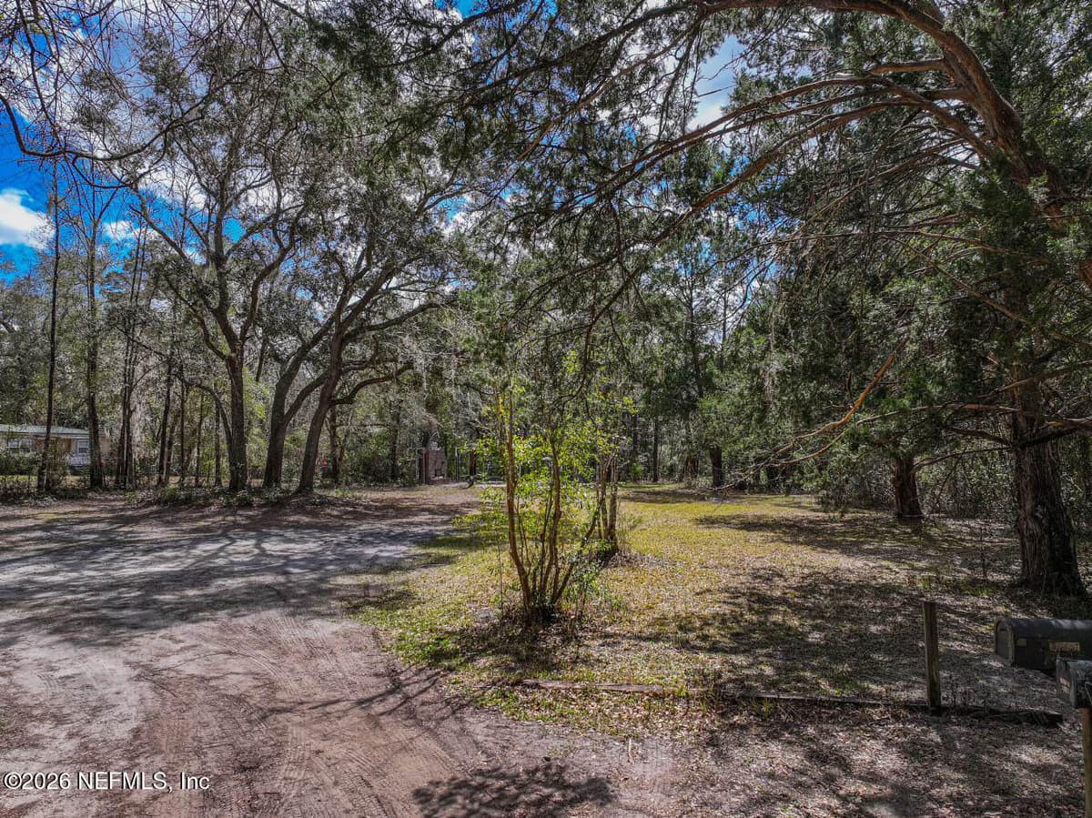 3125 BLACK CREEK Drive, Middleburg, FL 32068 3