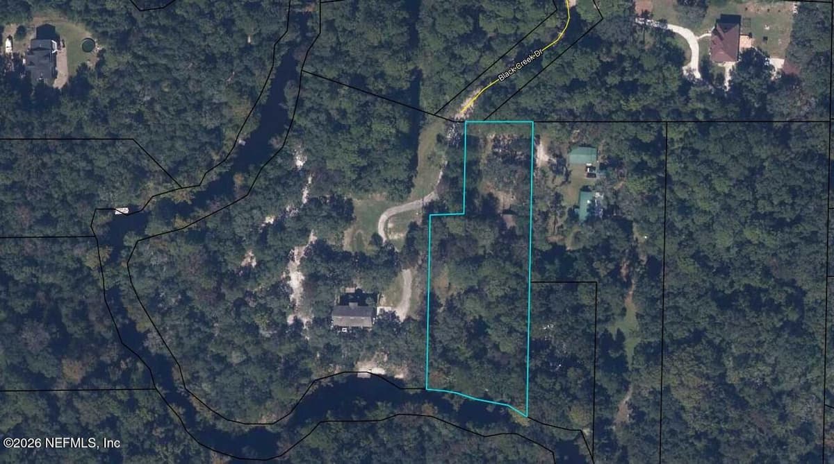 3125 BLACK CREEK Drive, Middleburg, FL 32068 2