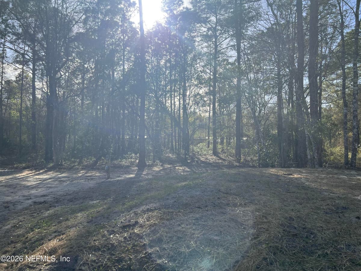 10045 UNDERWOOD Avenue, Hastings, FL 32145 3