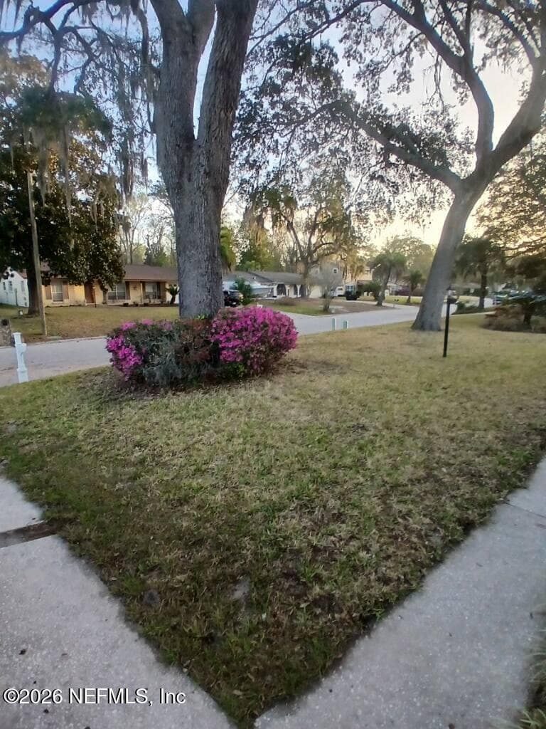 5512 JACKSON Avenue, Orange Park, FL 32073 2