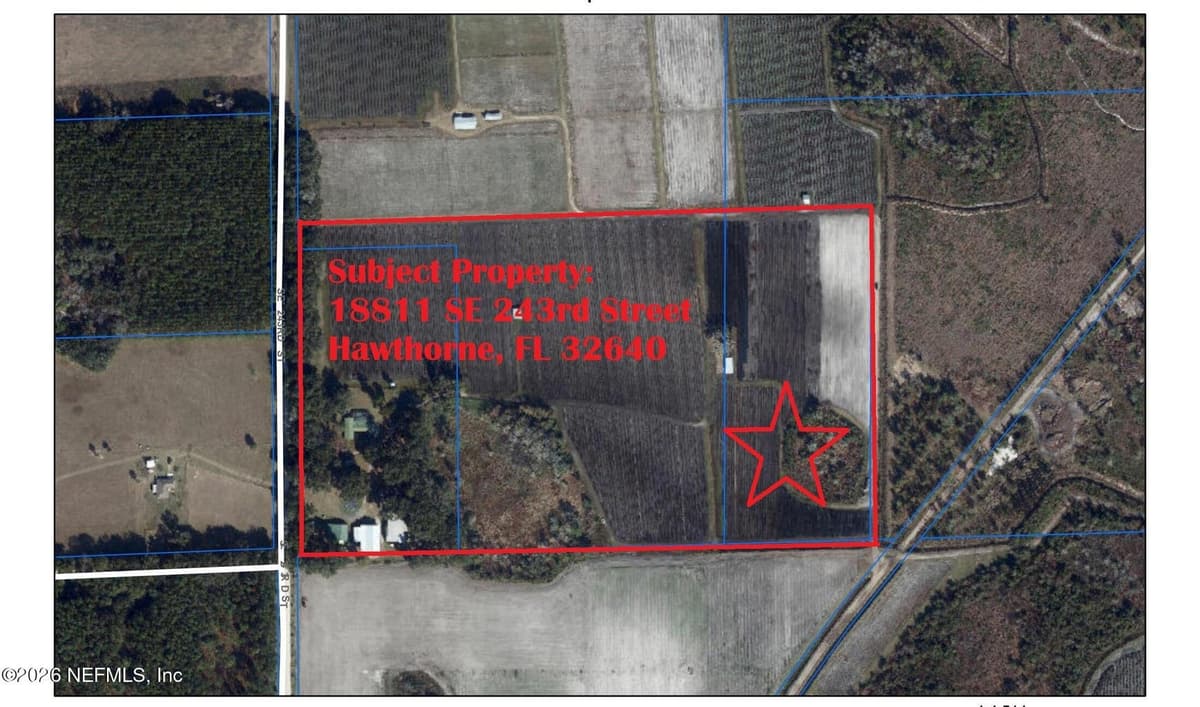 18811 SE 243RD Street, Hawthorne, FL 32640 3