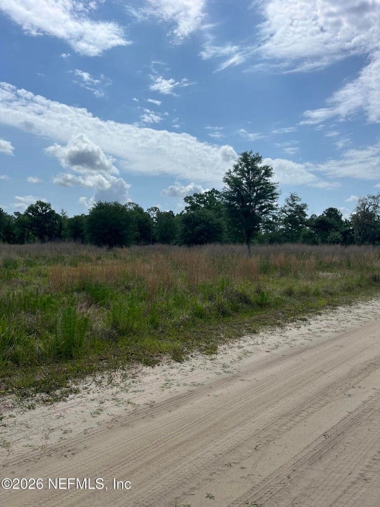 5950 SWEET MOODY Road, Green Cove Springs, FL 32043 3