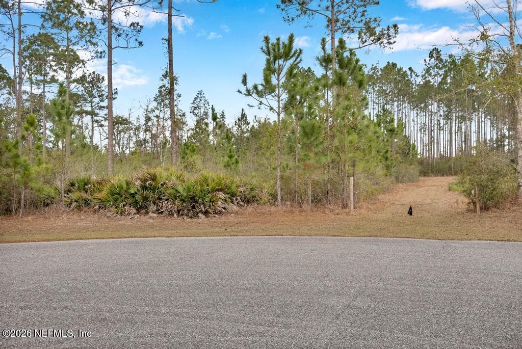 15364 BULLOCK BLUFF Road, Bryceville, FL 32009 3