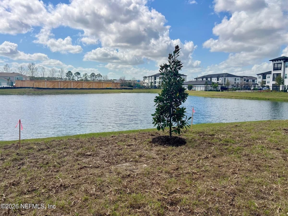 3569 PALOMINO Court, Middleburg, FL 32068 3