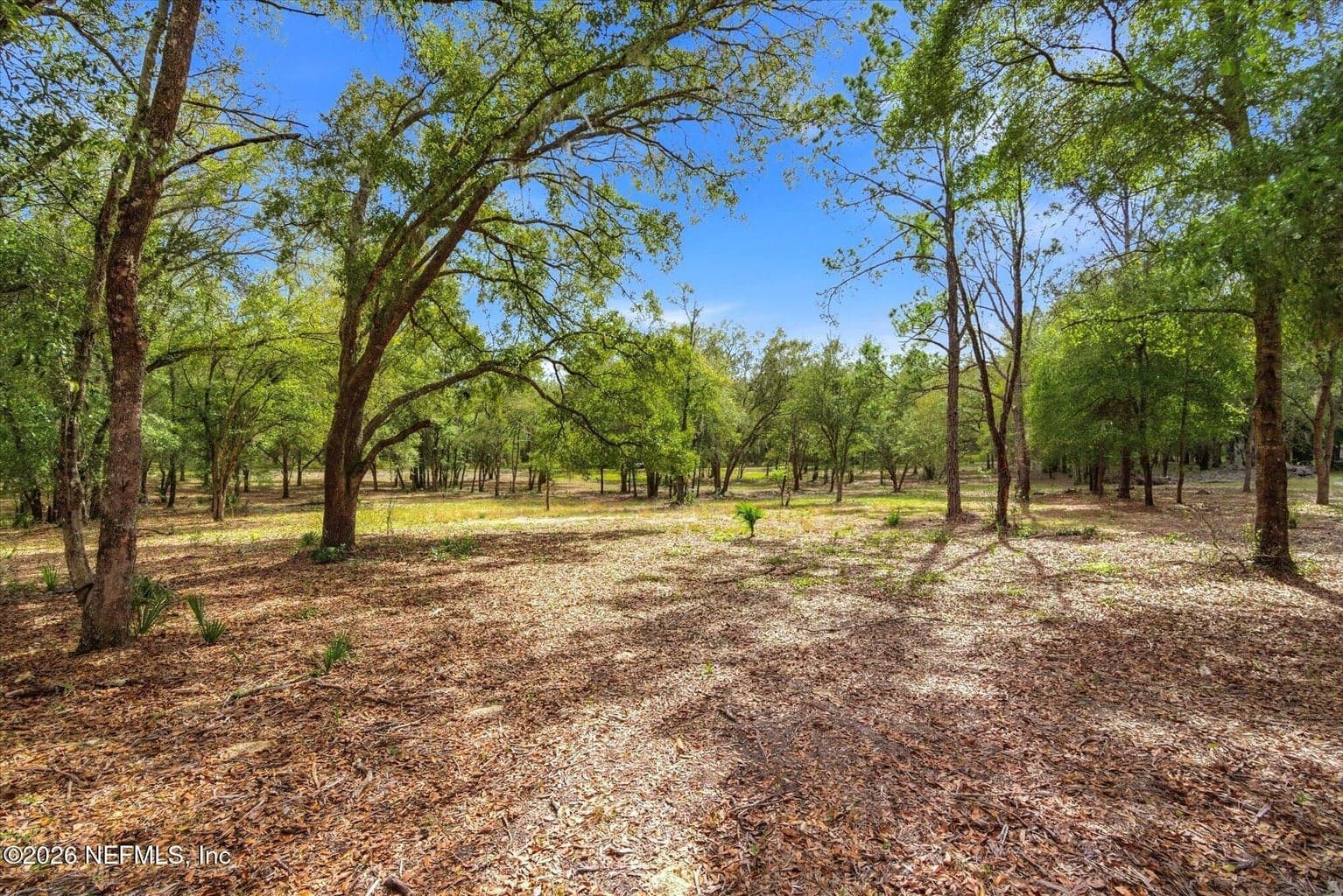 660 OLD WELAKA Road, Welaka, FL 32193