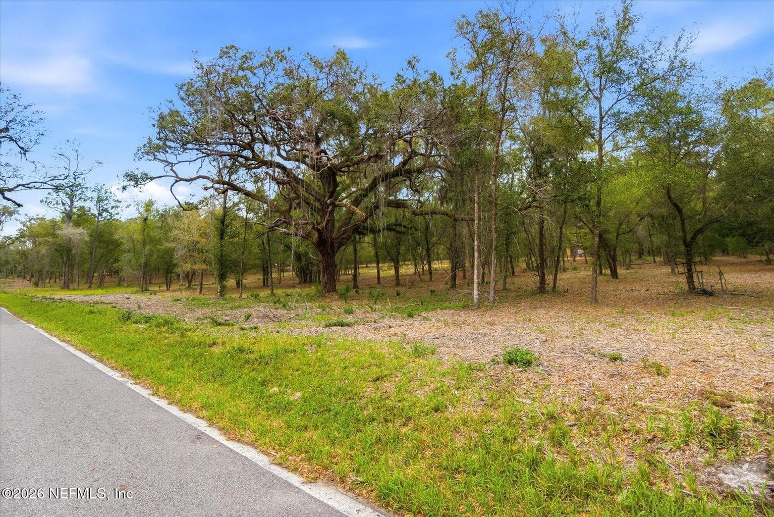 654 Old Welaka Road, Welaka, FL 32193