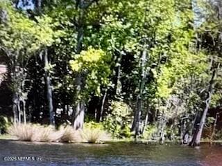 4317 ORTEGA FARMS Circle, Jacksonville, FL 32210 3