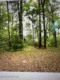 4317 ORTEGA FARMS Circle, Jacksonville, FL 32210 2