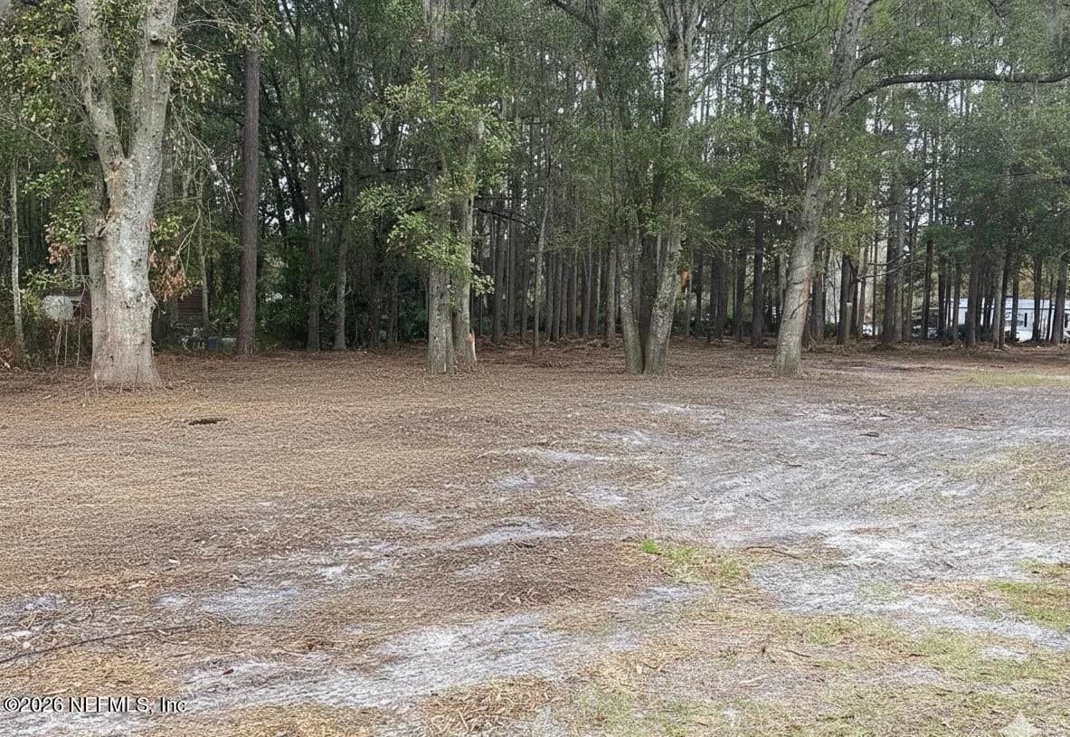 351 & 335 OTIS Road, Jacksonville, FL 32220 2