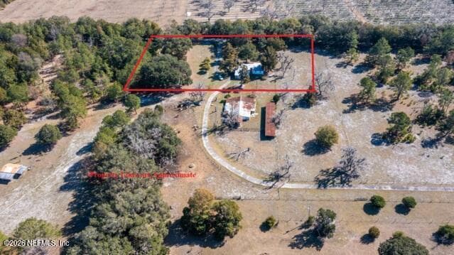 13224 NE 199TH Street, Waldo, FL 32694 2
