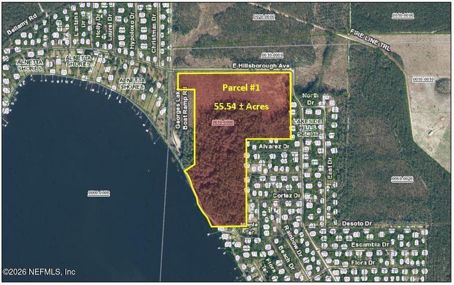 (PARCEL 1) E HILLSBOROUGH Avenue, Florahome, FL 32140