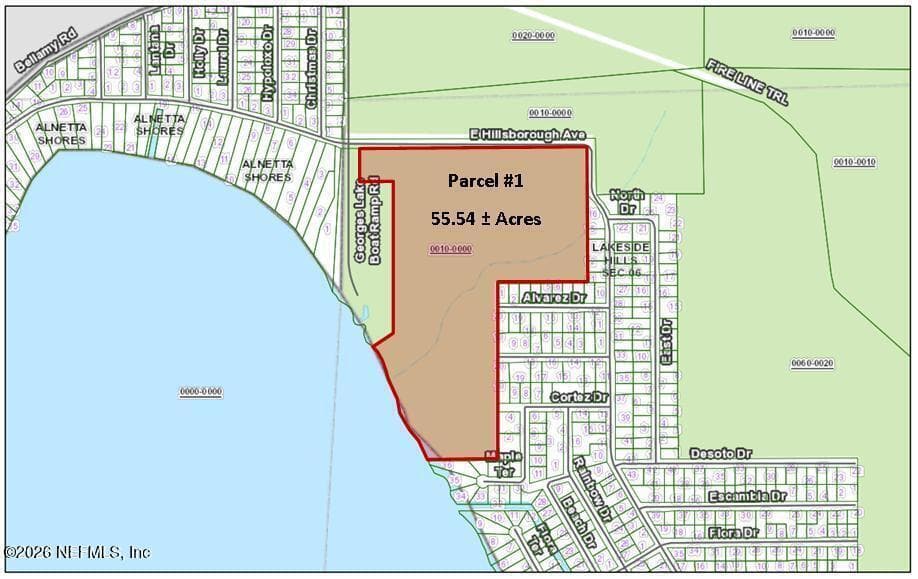 (PARCEL 1) E HILLSBOROUGH Avenue, Florahome, FL 32140 2