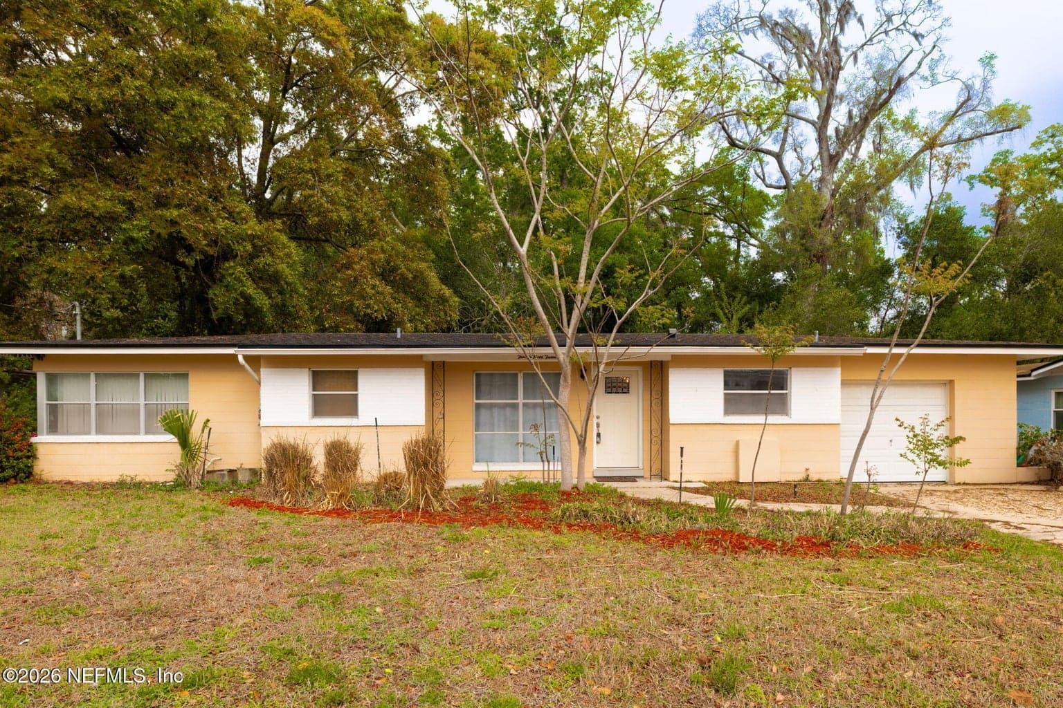 2324 BUTTONWOOD Drive, Jacksonville, FL 32216