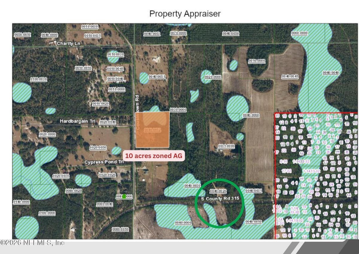 1132 COUSINTOWN Road, Interlachen, FL 32148 2