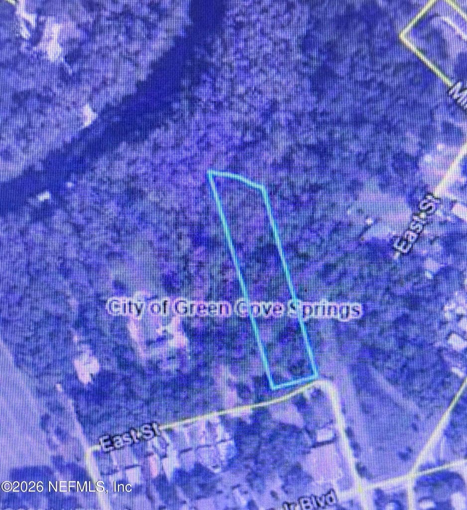 1302 EAST Street, Green Cove Springs, FL 32043 2