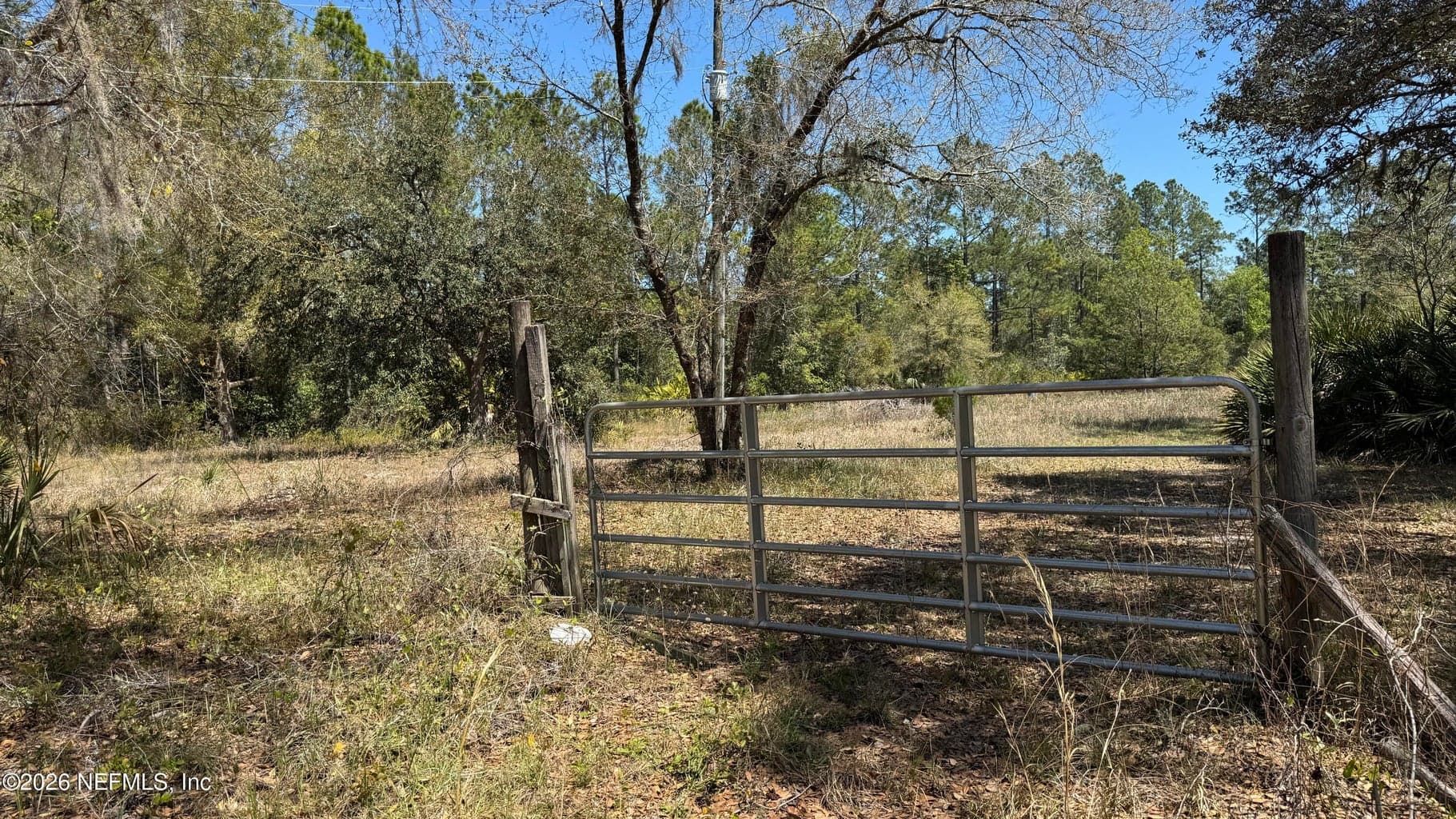 1132 COUSINTOWN Road, Interlachen, FL 32148