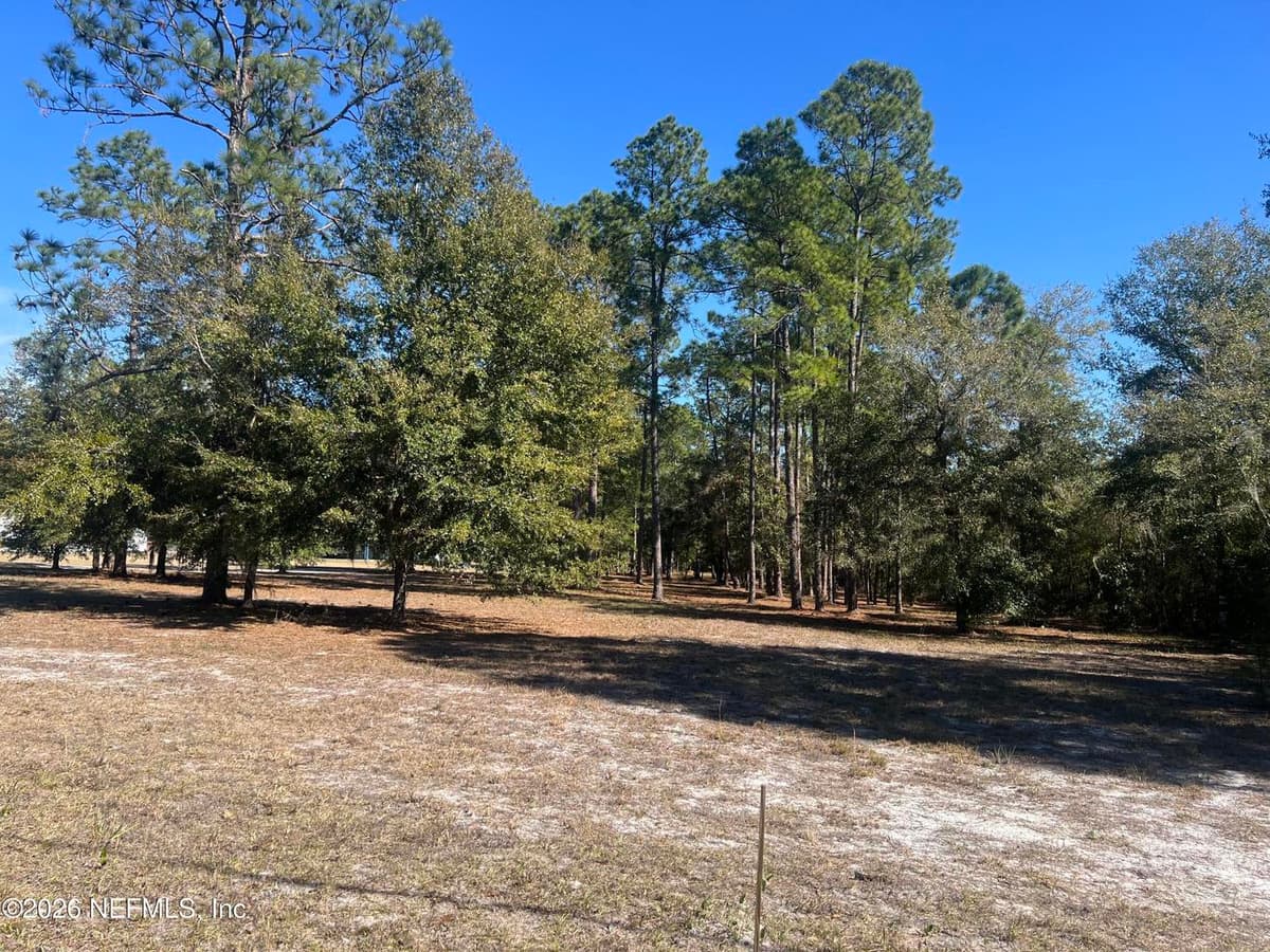 921 S MOODY Road, Palatka, FL 32177 2