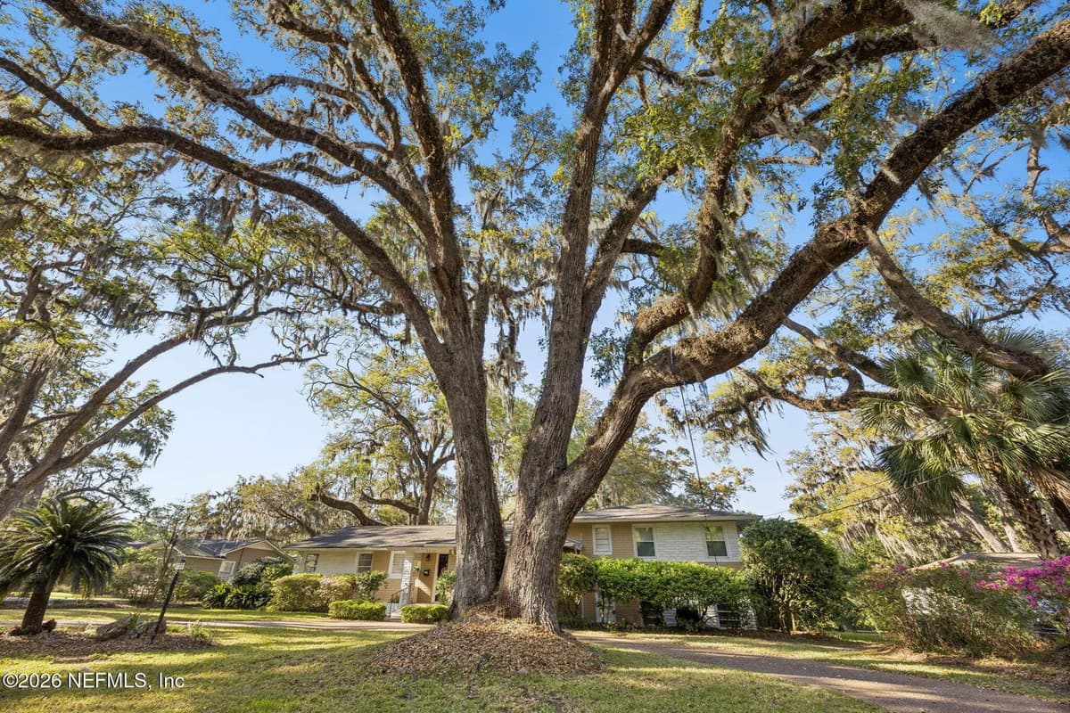 4226 FOREST PARK Road, Jacksonville, FL 32210 2