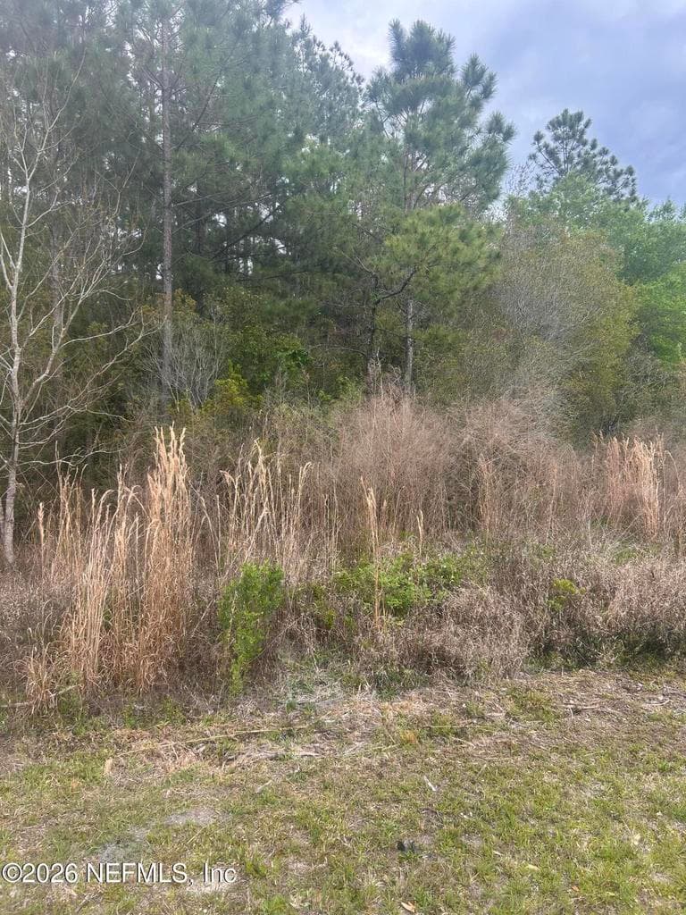 0 SLEW Court, Palatka, FL 32177 2