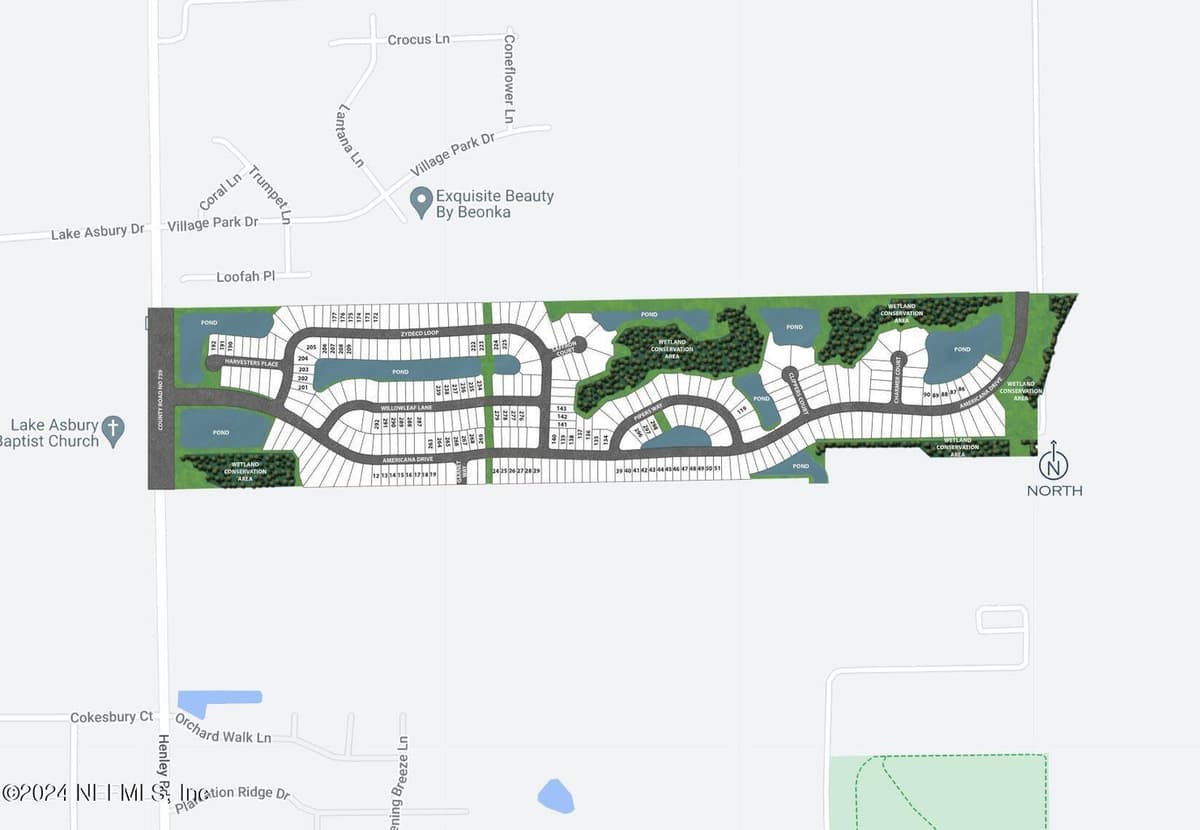 3322 WILLOWLEAF Lane, Green Cove Springs, FL 32043 2