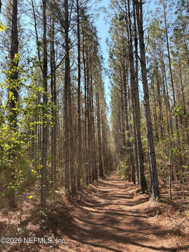 O LAZY PINES Road, Glen St. Mary, FL 32040 2