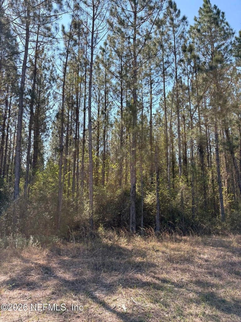 O LAZY PINES Road, Glen St. Mary, FL 32040 3