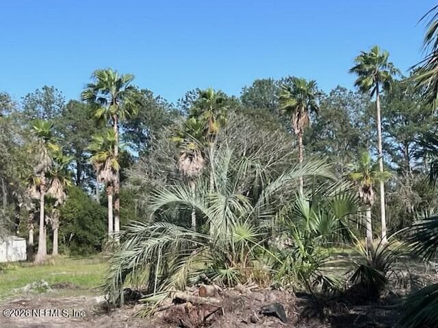 0 REID PACKING HOUSE Road, Hastings, FL 32145 2