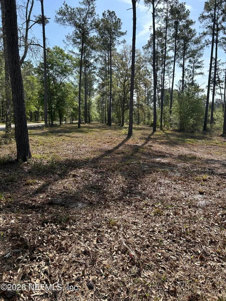 0 NW FALLING CREEK Road, Lake City, FL 32055 3