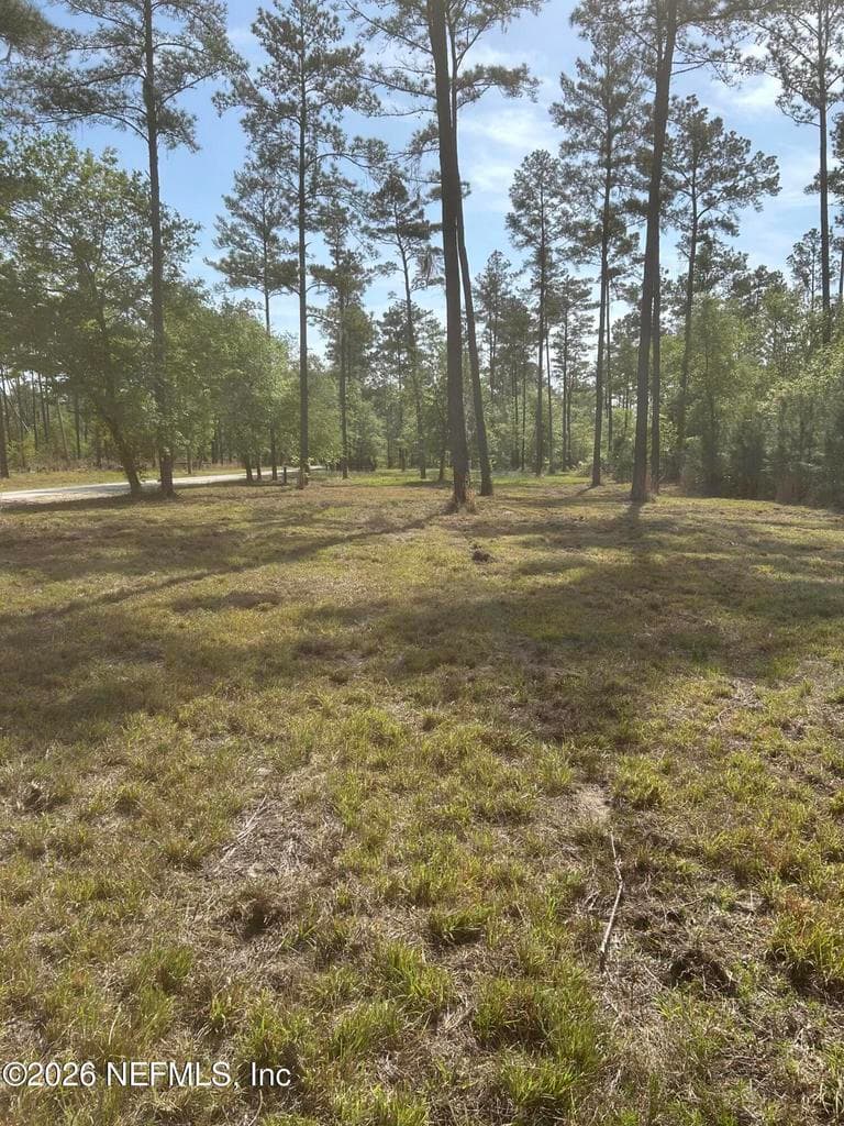 0 NW FALLING CREEK Road, Lake City, FL 32055 2
