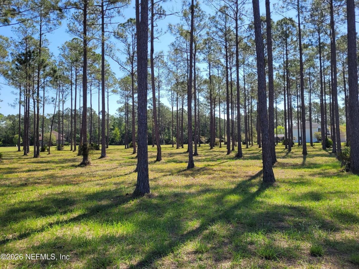 11019 DERBY CHASE Court, Jacksonville, FL 32219 3