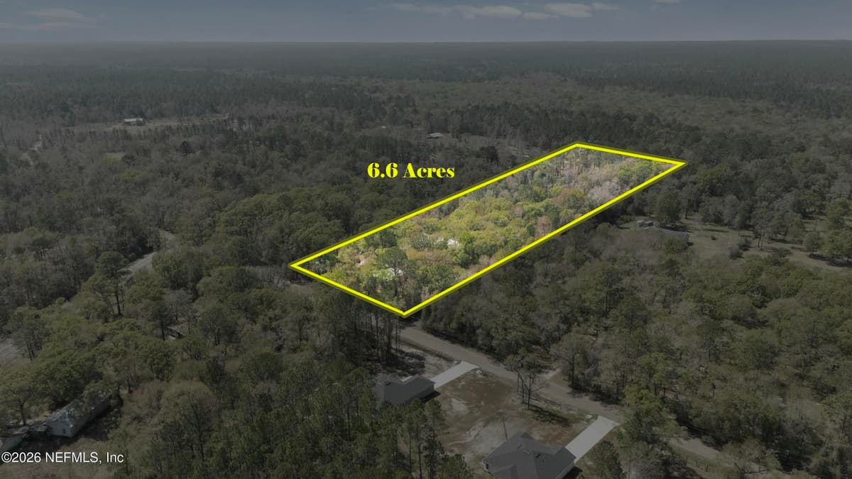 2490 VIOLET Way, Middleburg, FL 32068 3