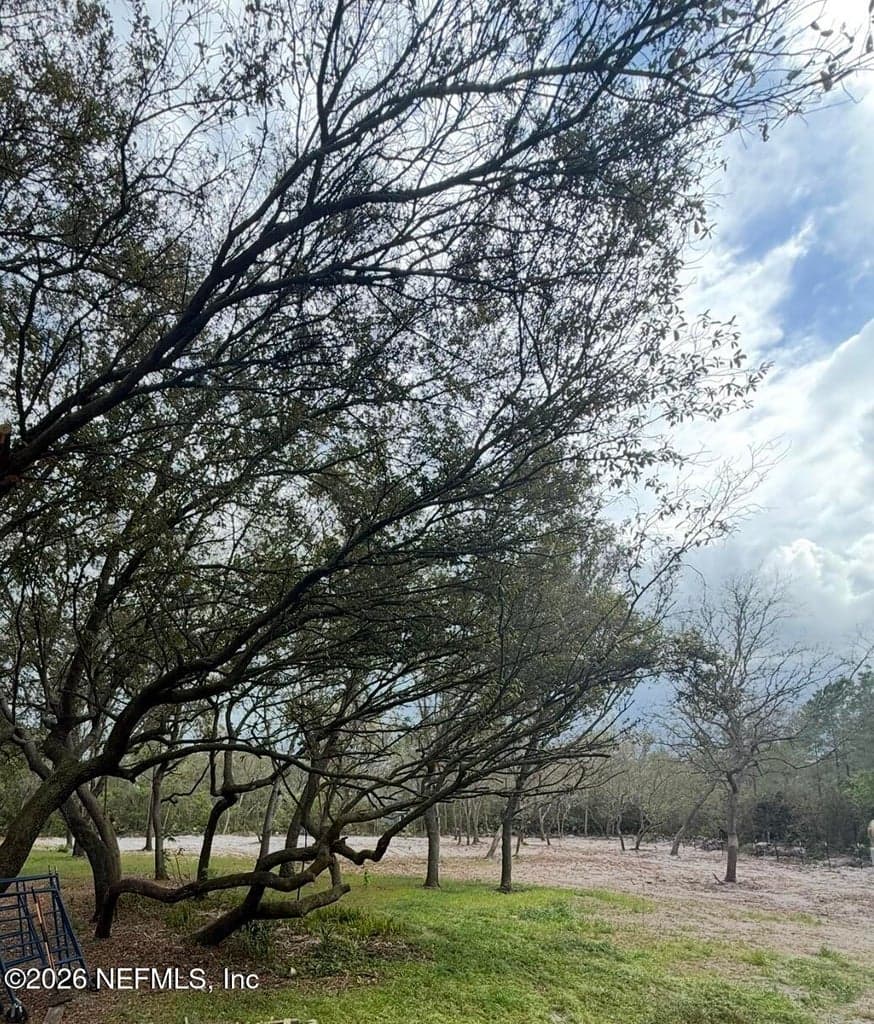 228 BROWNS HAMMOCK Road, Crescent City, FL 32112 2