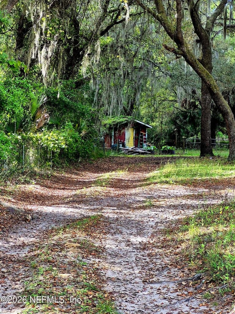 252 GEORGETOWN SHORTCUT Road, Georgetown, FL 32139 3